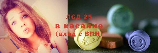 винт Алзамай