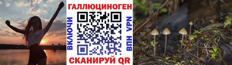 Псилоцибиновые грибы Magic Shrooms  как найти   гидра рабочий сайт  Сельцо 